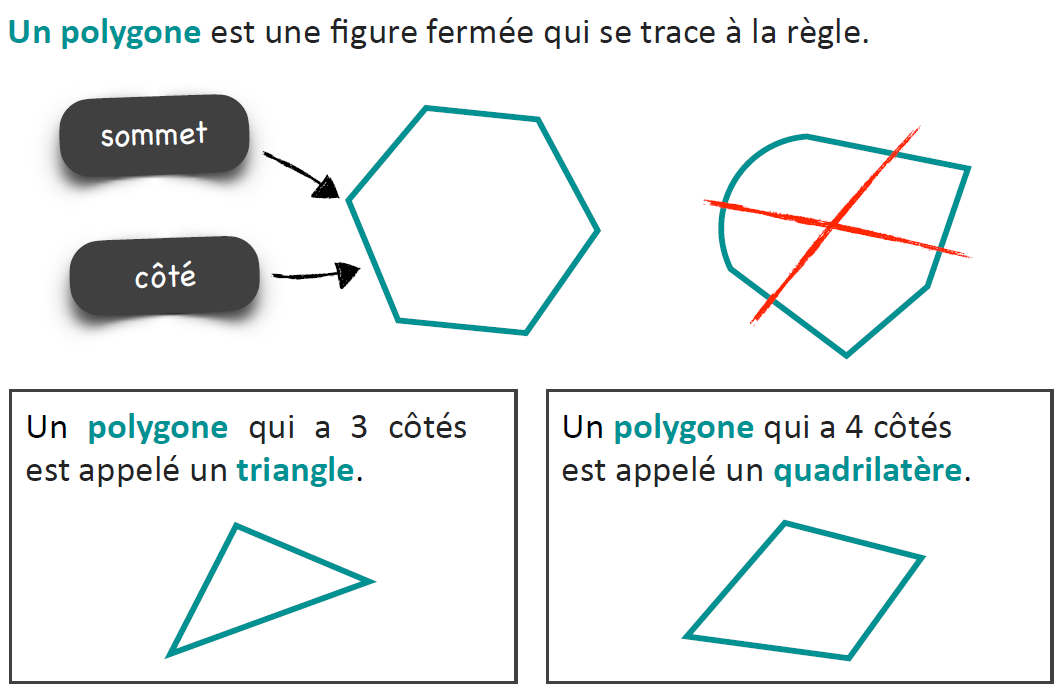 Leçon 3 Les figures géométriques